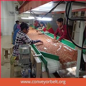 Inspection Conveyor Belt Manufacturer