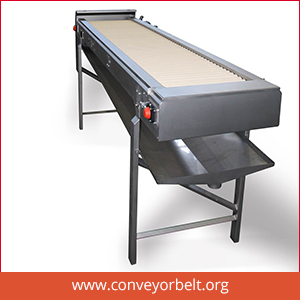 Table Top Conveyor Belt Supplier